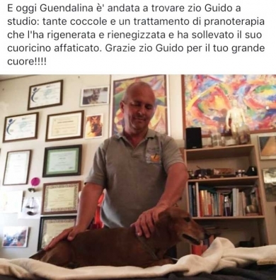 Testimonianze a 4 Zampe - StudioNaturopatia GuidoParente