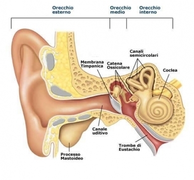 Trattamento degli Acufeni con Pranoterapia e Craniosacrale - StudioNaturopatia GuidoParente