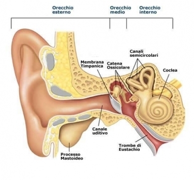 Trattamento degli Acufeni con Pranoterapia e Craniosacrale - StudioNaturopatiaGuidoParente