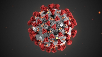 Coronavirus:  come stimolare con metodi naturali il Sistema Immunitario - StudioNaturopatia GuidoParente