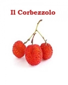 IL CORBEZZOLO - StudioNaturopatiaGuidoParente