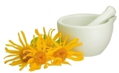 Arnica Montana - StudioNaturopatia GuidoParente