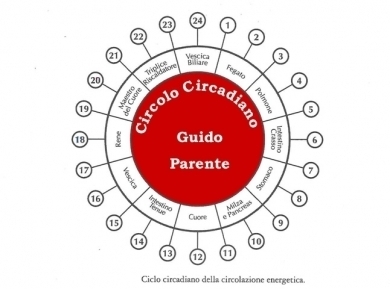 Il Circolo Circadiano - StudioNaturopatia GuidoParente