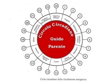 Il Circolo Circadiano - StudioNaturopatiaGuidoParente