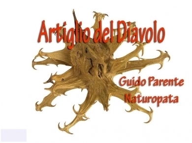 Artiglio del Diavolo  Harpagophytum procumbens - StudioNaturopatiaGuidoParente
