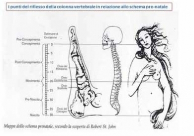 La Tecnica Metamorfica - StudioNaturopatia GuidoParente