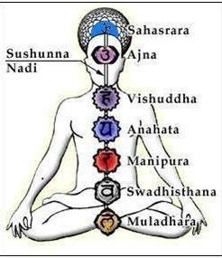 I 7 chakra: rappresentazione schematica - StudioNaturopatia GuidoParente