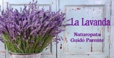 La Lavanda - StudioNaturopatia GuidoParente