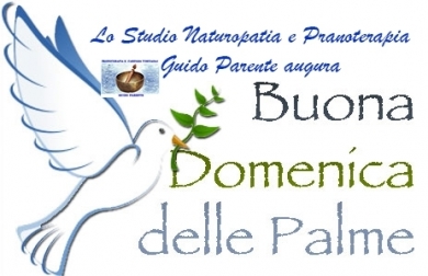 Domenica delle Palme - StudioNaturopatia GuidoParente